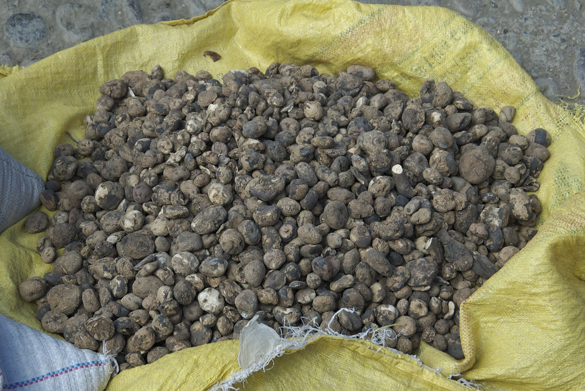 Chuño – traditionally dried potatoes from the Andes